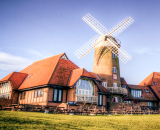 自动攻击网站工具下载